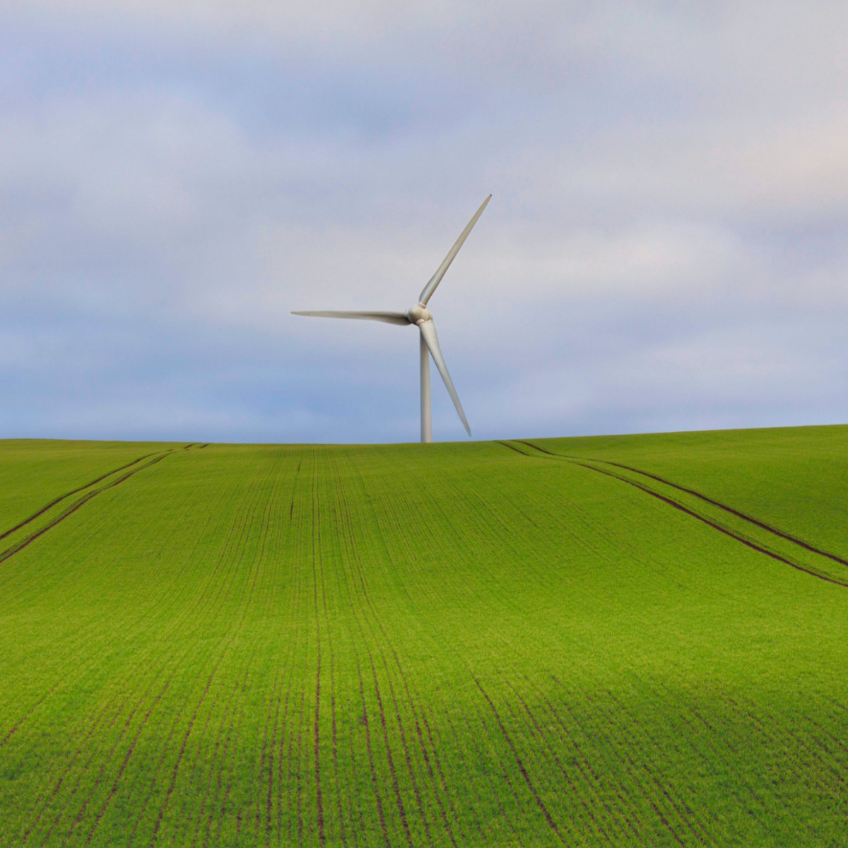 Environmental Policy image
